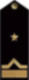 Погоны младшего лейтенанта ВОСВОД.png