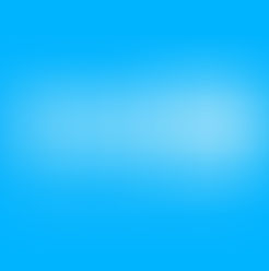 Mr. Wimmer Finds His True Path