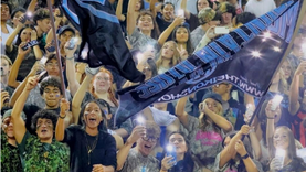 Spirit in the Stands