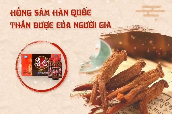 Hồng Sâm Hàn Quốc Cho Người Già