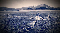 DRIED LAKE DILLION