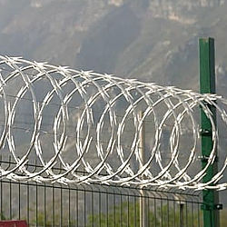 Concertina1.jpg