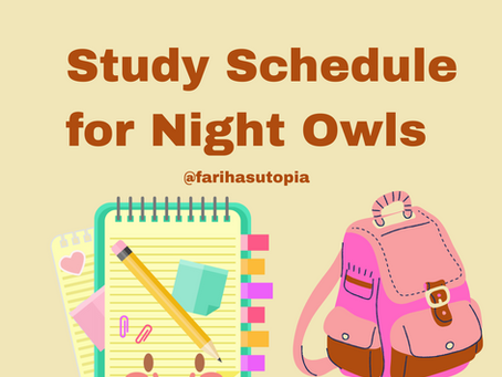 Study Schedule for Night Owls