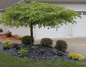 Landscape work with mulch Wally Corlew Boulder Brothers LLC