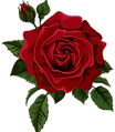 pngimg.com - rose_PNG66919.png