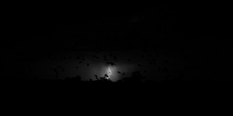 Orage2.gif