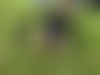 Originální karnevalové kostýmy