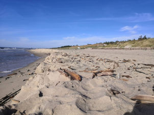 K moři do Polska s dětmi