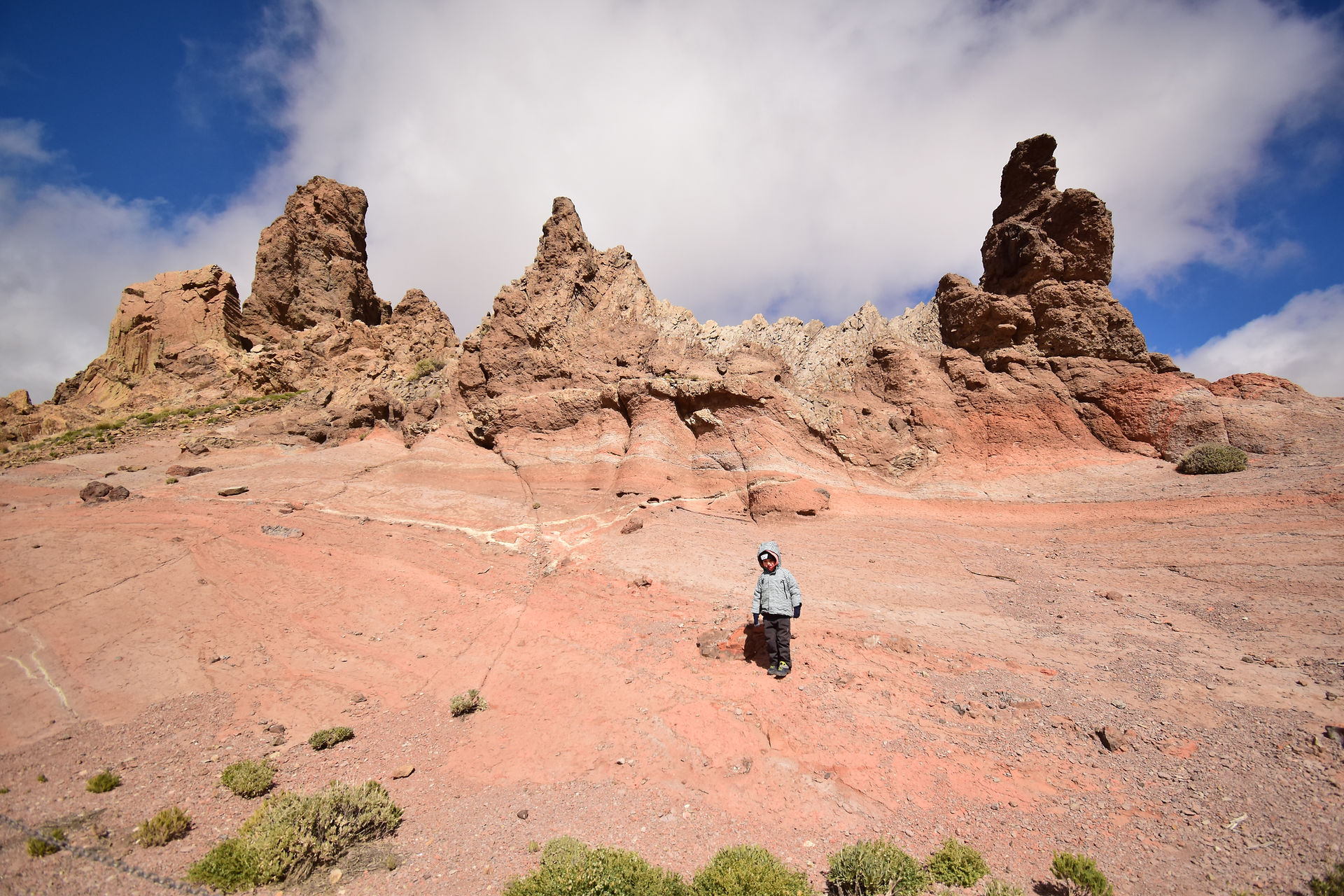 Teide_s_detmi