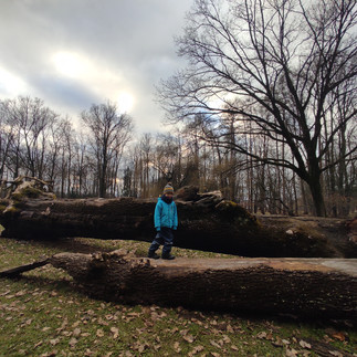 Městský park s dětmi Žiwec