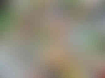 knizka_pro_male_kluky