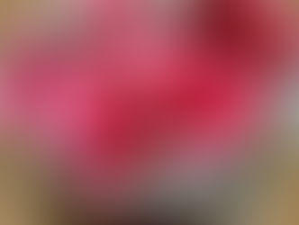 卒業生からのメッセージ