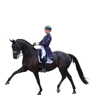 Carl Hester Valegro_edited_edited_edited_edited.png