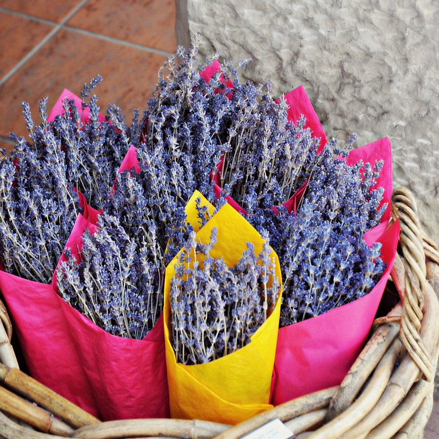 Our Lavender Story