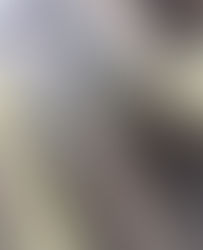 毎度ありがとうございます