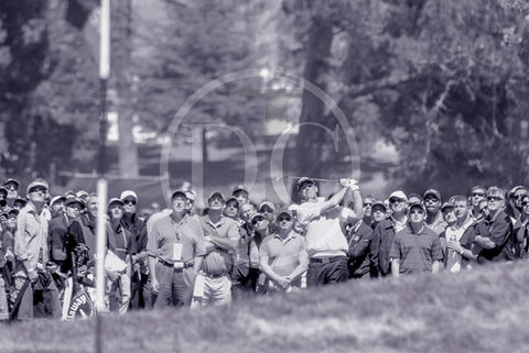 THE FLOP (STRICKER @9).jpg