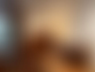 宿木堂について