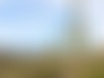 “Stay + experience” Not just a house, but a full Tucson getaway.