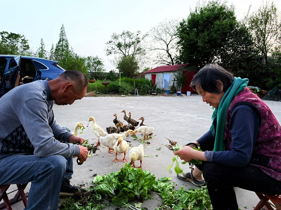 龙英与正华为大女儿回到城市准备自家种的蔬菜