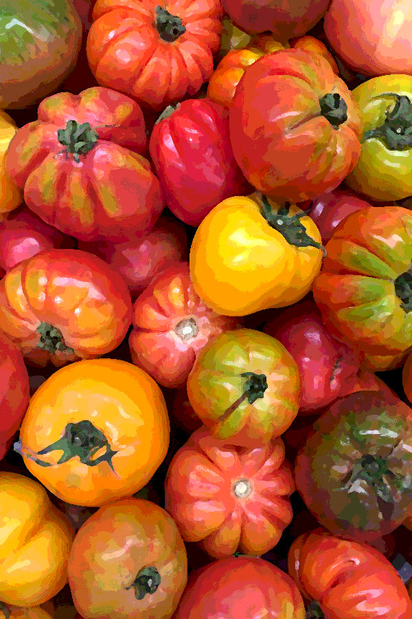 Multicolored heirloom tomatoes