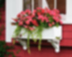 Thumbnail: Red house with red geraniums in a white window box
