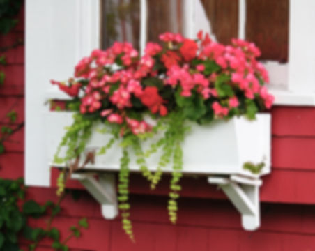 Red house with red geraniums in a white window box