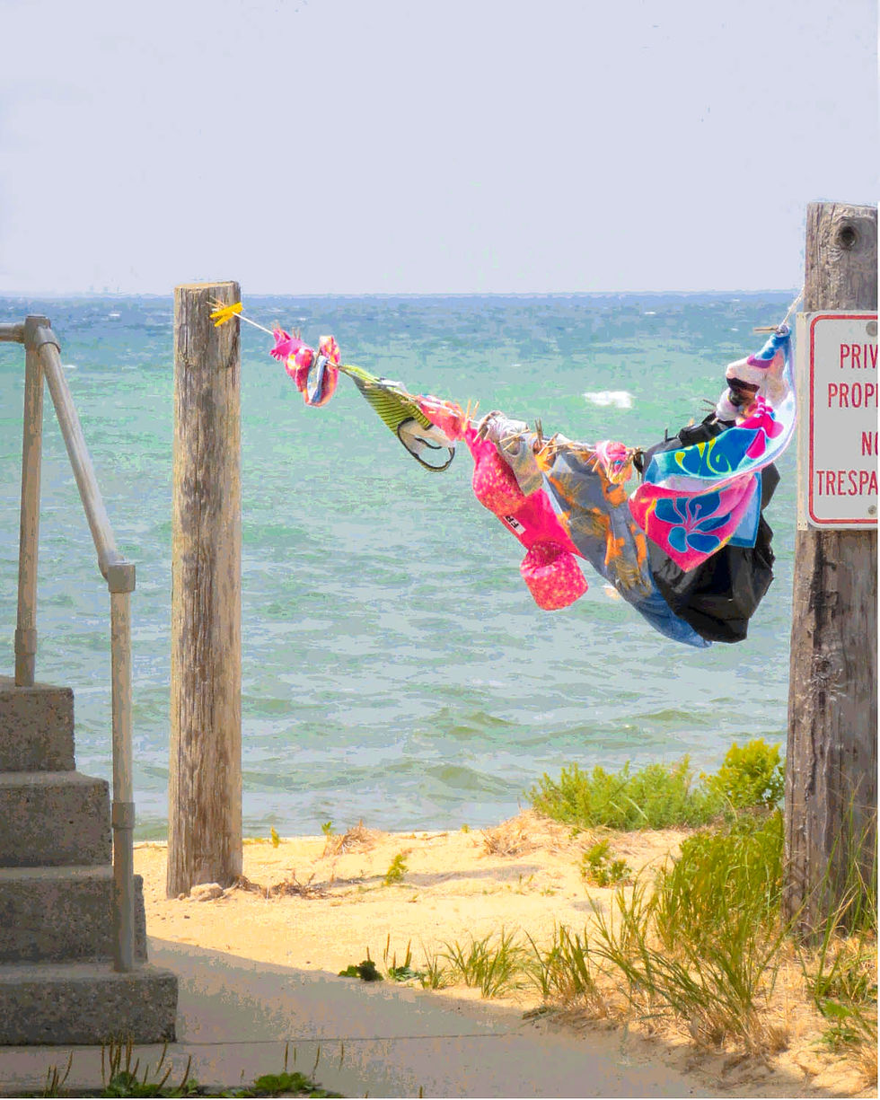 Swimsuits and towels on a clothesline, with Cape Cod Bay in background