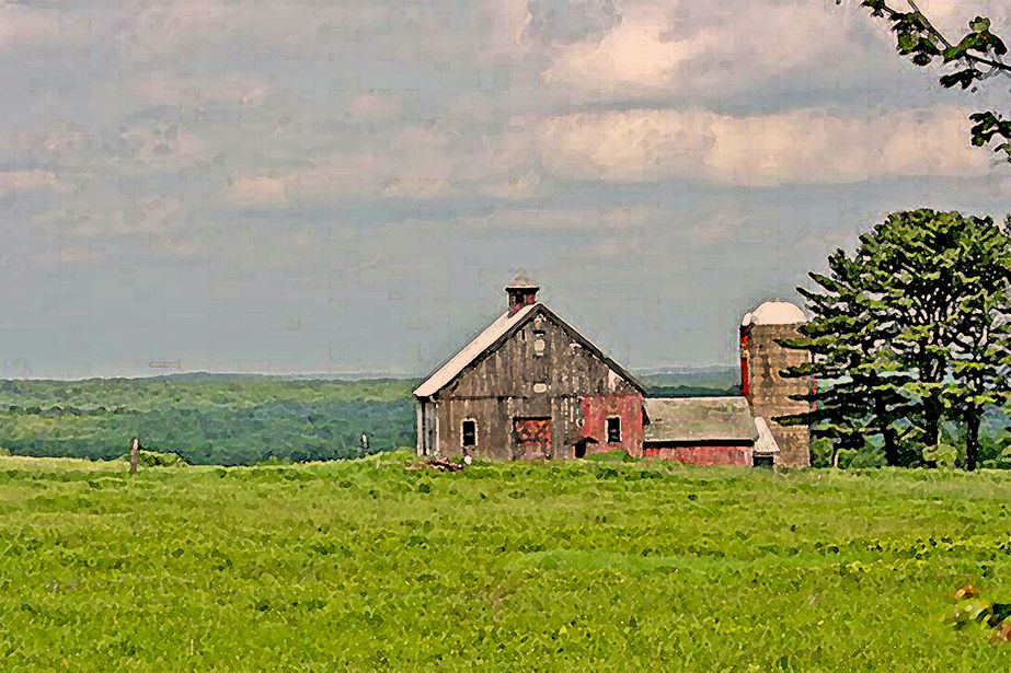 Rose Heritage barn