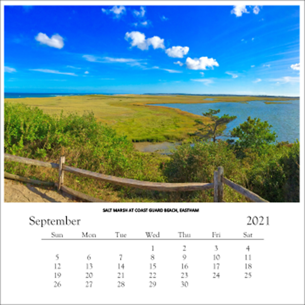 Thumbnail: Marsh at Coast Guard Beach, Chatham