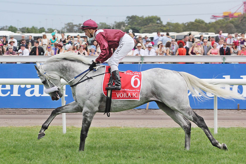 Voila Ici_06-11-2012_GEN_Flemington__1617.jpg