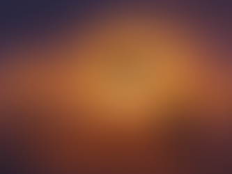 Illustration of the Wright Brothers’ first flight at sunset, with the 1903 Flyer lifting into the sky against a glowing orange sun. A lone observer watches from the dunes, beside a torch, as stars shine above—one bright star symbolizing the Galactic Center.