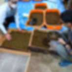 紅茶づくり体験2022