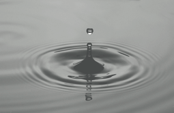 Photo of a droplet of water and the ripple it creates
