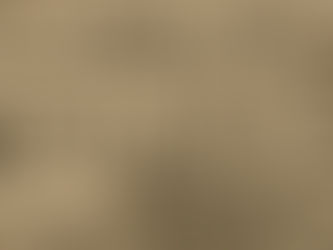 Netflix 2025–26: What the Originals and Feature Licensing (Pay-1/SVOD) teams are really buying