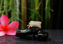 Code GD041: The Ribmond