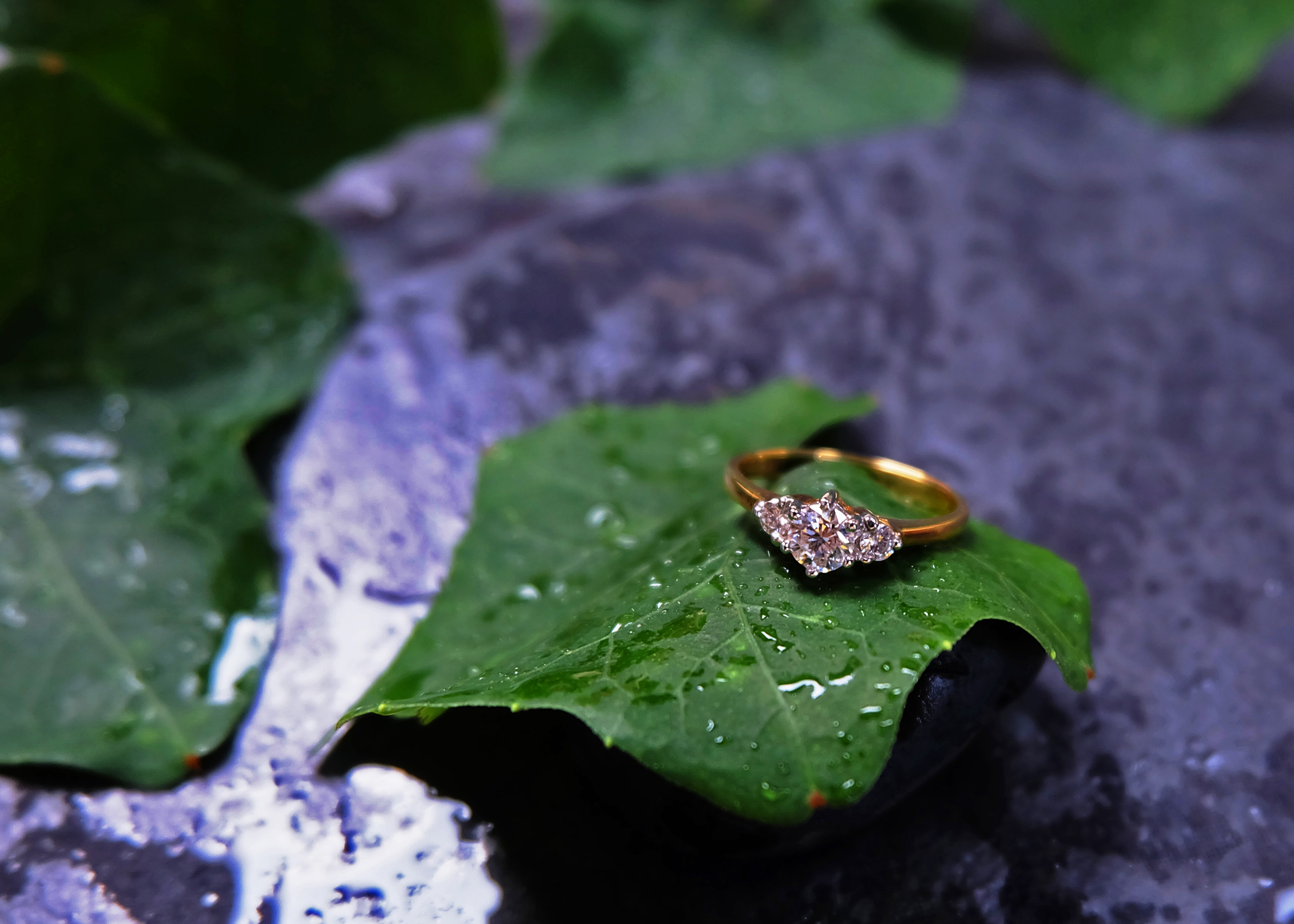 Code GD056: The Iris