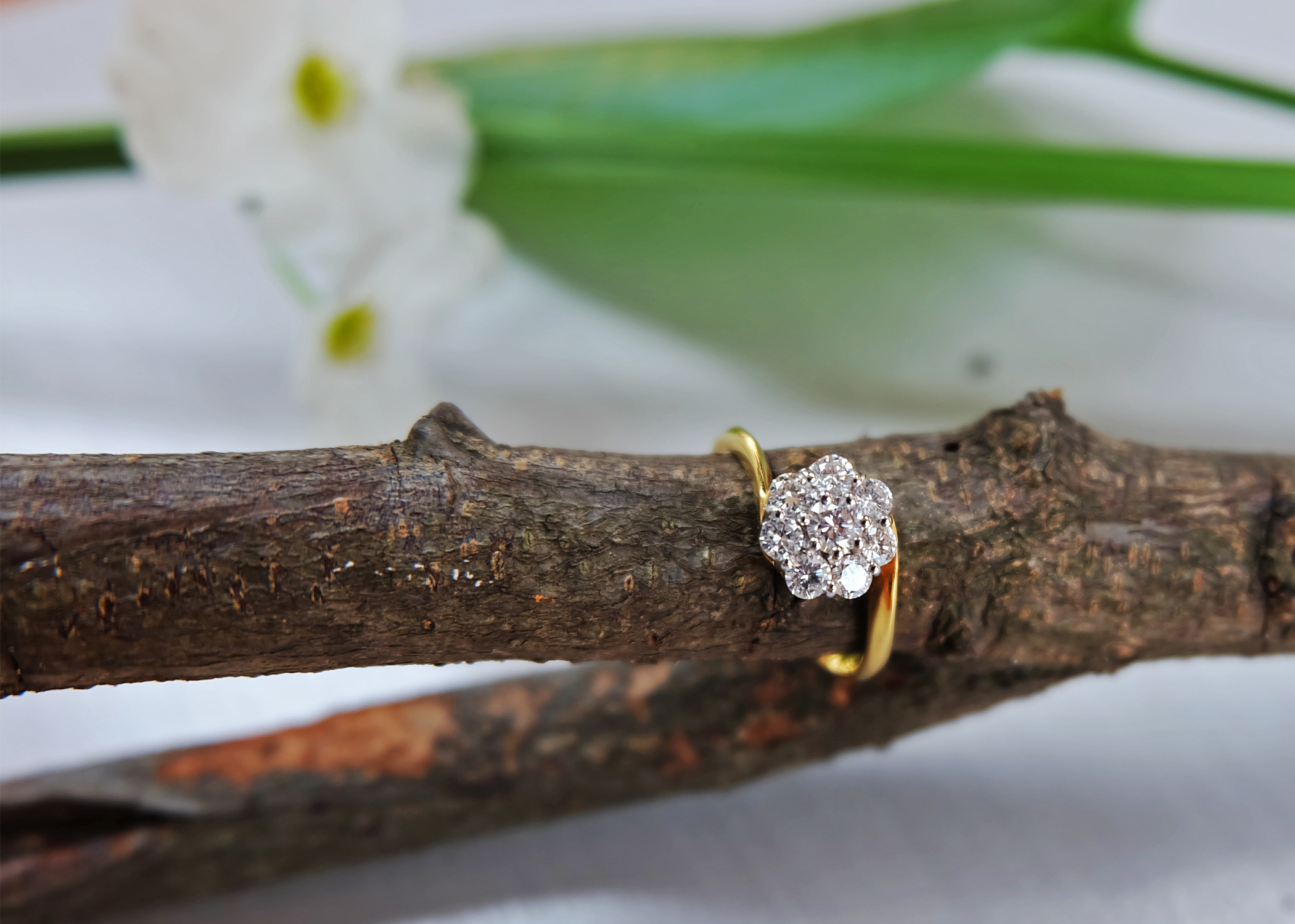 Code GD022: Daisy love