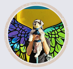 Fagu, canine ambassador of Vancity Officiant, symbolizing second chances and love|Vancity Officiant狗狗大使花菇,傳遞陪伴與重生的力量