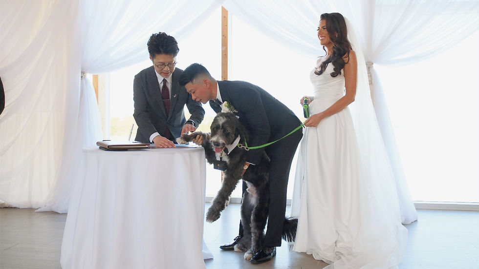 Gus adding his paw print to Kelsea and Jonathan’s Pawfect Witness Unity Certificate during their wedding ceremony