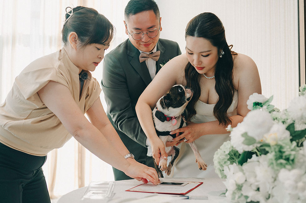 Glady and Justin helping their Boston Terrier add a pawprint during their Pawfect Witness wedding ceremony