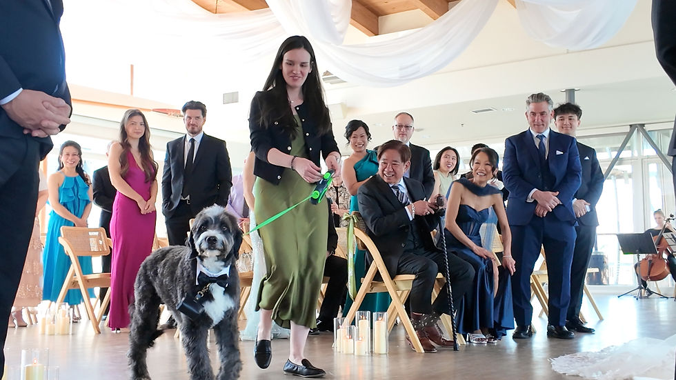 Gus the Mini Bernedoodle coming down the aisle off leash as the ring bearer during Kelsea and Jonathan’s wedding ceremony