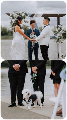 Bride and Groom at a outdoor ceremony with officiant at UBC Boathouse in Richmond, BC. A white dog as their ring bearer