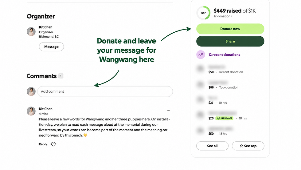 GoFundMe page showing where supporters can donate and leave a message for Wangwang and her three puppies.