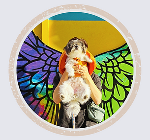 Portrait of Maji, canine ambassador embodying the journey from fear to trust|Vancity Officiant狗狗大使孖吉,陪伴花菇成長的靈魂夥伴