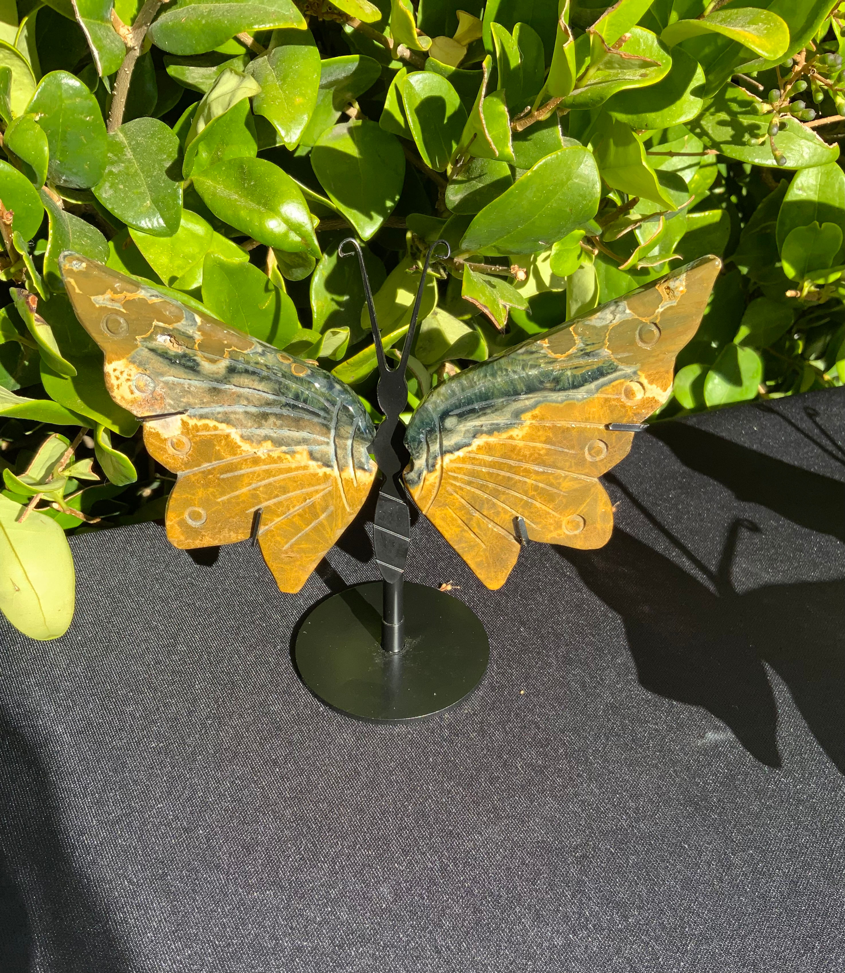 Ocean Jasper Butterfly with Stand