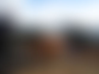 タワーヤーダがきた！