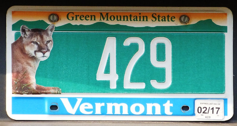429 VT17 Cat