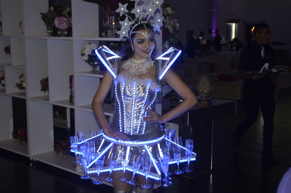 SAIA DE ESTRELAS LED SHOW