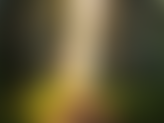 Unlocking the Secrets: How to Connect With Your Inner Spirit