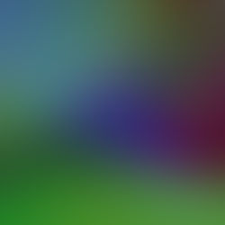 The Power of Having a Clear Perspective in Life and Decision Making